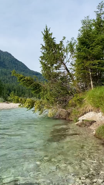 Short POV video of a mountain river with crystal clear pale blue water gently flowing. At the beginning of the video some trees are bent over the water, the view then pans to follow the flow with mountains in the background...