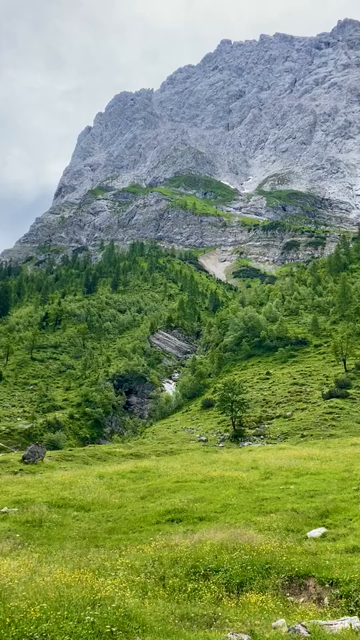 Short video panorama of a beautiful summer mountain meadow in full bloom inside a grand cirque surrounded (semi-circle) by massive steep rock walls, and later forested slopes... A small path is leading further towards the rocks...