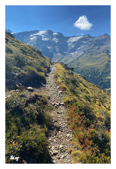 A small hiking path leads through beautiful colored mountain meadows into the distance, high above the valley below. The peaks on other side of the valley have remnants of glacier tongues. Further down, green meadows and first generation larch forest growing, for the first time in thousands of years. A single small fluffy cloud in an otherwise clear blue, hazy sky.