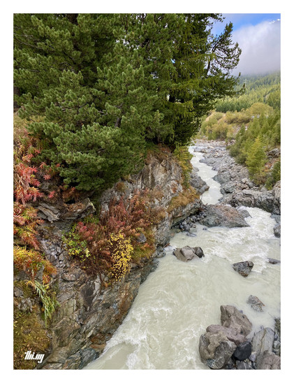 Photo of a glacial creek with milky beige water, full of glacial flour. The creek flows over rocks and along a large boulder covered in small pines and bushes in beautiful autumn colors. Low-hanging clouds above the forest in the background. A sliver of blue sky above.