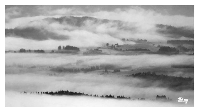 Black and white photo of a pre-alpine landscape of rolling hills intersected by layers of dense fog