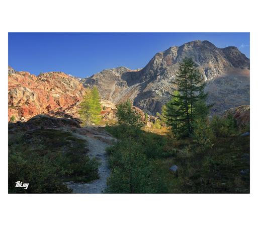 A small path leading through a high alpine tundra landscape, with colorful early autumn vegetation and rocks ranging in color from red/orange, dark purples and cold grays (in the background). Only a handful of small trees (larches) scattered here and there. Clear blue sky with some cloud shadows.