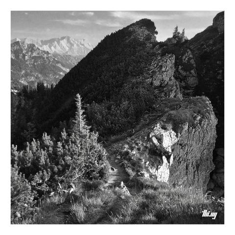 High contrast black and white photo of a narrow path along the edge of a rocky cliff falling off vertically less than a meter away on the right. Steep slopes with dwarf mountain pines on the left handside, some of the trees in the foreground catching the evening sun. Layers of tall mountains in the distance (Zugspitze/Wetterstein in the far back)