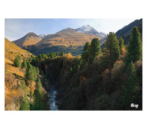 A beautiful river canyon in an alpine landscape is leading into the distance toward large barren mountains with snow capped peaks. Mixed forest (Swiss pines, larches, birches...) on the right side of the canyon, steep yellow/brown grassy slopes on the left. Hazy sky.
