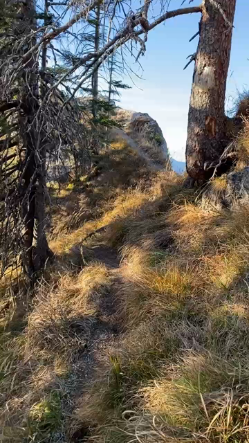 First person video of me walking a narrow path along a ridge with steep drops on either side, but one side more open, providing vast views over the surrounding landscape (and esp. the foothills north of the Ammergau Alps). The beautiful warm autumn afternoon sun makes the dried grasses appear almost golden... Bright blue sky