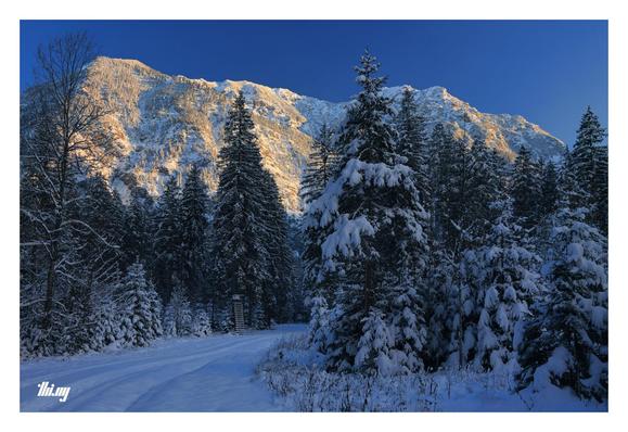 A path curving into the distance through a beautiful snowed-in winter forest. A thick layer of fresh powder snow on the ground and tree branches. Cold blue light. In the background a large mountain massif (also fully snow covered) rises up above the forest, the slopes bathed in golden evening light, glowing and standing out against the forest below and the clear, deep blue sky.