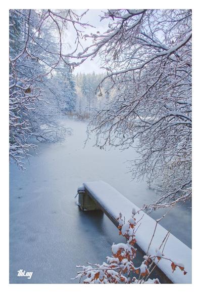 A small narrow pier fully covered in snow, in a completely frozen over lake in the woods. Snow covered branches reaching in from all sides, providing a nice framing. The cold bright light perfectly matches the peaceful frozen mood of this calm morning. 