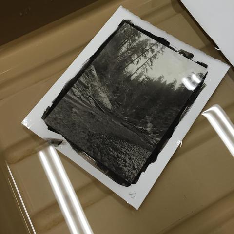 A fully developed 13x18cm (5x7in) platinum print in a photo tray during final rinsing. The photo emulsion has been painted with a brush to produce a dark fuzzy border around the picture. The printed picture itself shows a typical PNW mountain creek (Eagle Creek) on a gravel bed in a foggy forest.