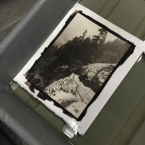 A fully developed 13x18cm (5x7in) platinum print in a photo tray during final rinsing. The photo emulsion has been painted with a brush to produce a dark fuzzy border around the picture. The printed picture itself shows a wild canyon (Eagle Creek) with a narrow path leading along a steep, almost vertical snowy slope with foggy forest in the background.