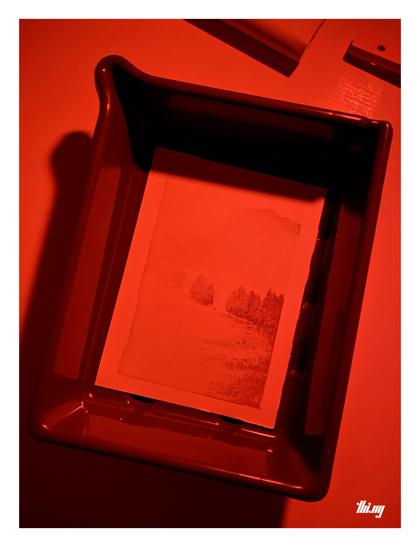 Another darkroom view of the same photo, taken just a few moments before the previous image. Here showing the undeveloped print as it looks just after UV exposure. Only the darkest parts of the image are somewhat recognizable already.