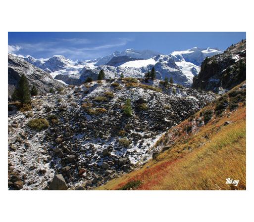 A high alpine mountain landscape featuring a large side moraine (talus heap) of a glacier with beautiful red/golden autumn meadows in the foreground and a majestic massif of glacial ice packed mountain peaks in the background. Snow dusted cliffs rising up on either side in mid distance. Bright blue sky.