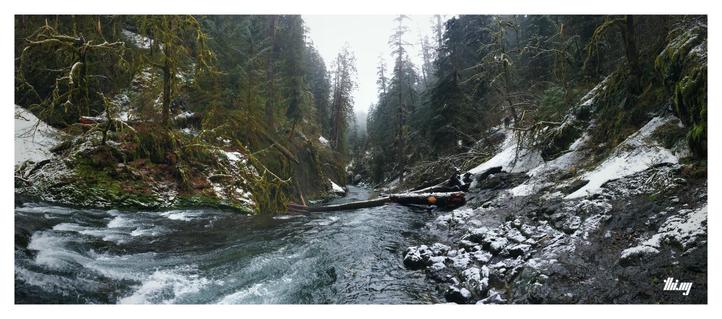A cinematic panoramic view of a wintry mountain creek flowing in a bend with rapids, surrounded by lush, but cold, foggy and moody PNW rainforest. A dusting of fresh snow on the wet rocky river banks. Fallen trees and logs here and there. Other trees overgrown with furry mosses.