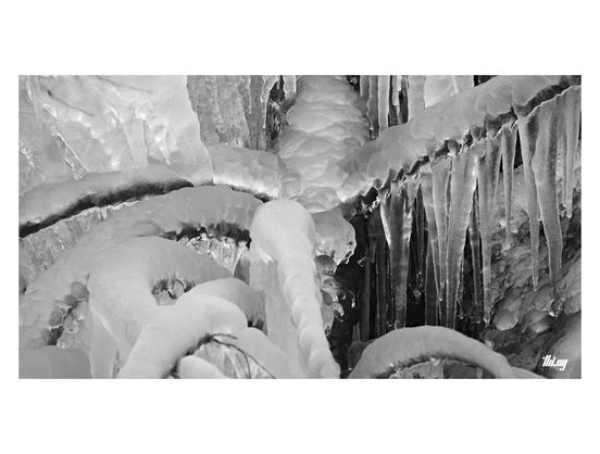 B&W close-up of a heavily ice encrusted tree branch with large icicles near the bottom of a large waterfall.