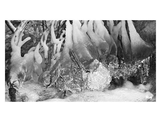 B&W photo of smooth ice structures forming by encrusting the branches of a fallen tree near the bottom of a large waterfall. The structures have semi-organic and semi-translucent feel to it, like an alien organism growing and feeding on the water...