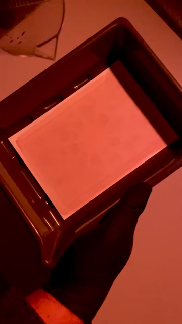 Silent phone video of a person pouring some liquid (developer) into a photo development tray with a pre-exposed coated piece of paper. Immediately after the developer comes in contact with the paper, an image quickly appears with progressively more contrast. The whole time the person keeps on agitating the liquid in the tray to ensure an even development process (usually this fully stage lasts 5-10 mins, depending on developer used)