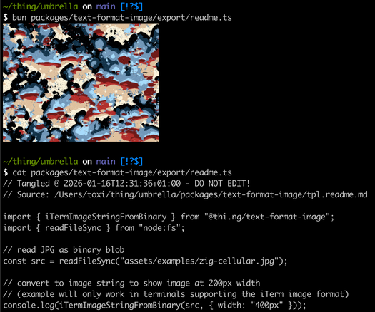 Screenshot of a CLI/Terminal with the code example from the thi.ng/text-format-image readme and the resulting image output as part of the normal flow...