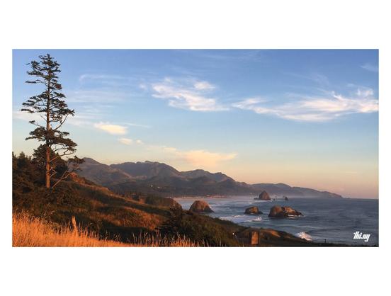 Widescreen view of the Oregon coastline south of Ecola State Park with several sea stacks (incl. Haystack Rock near Cannon Beach). The coastal mountain range and Cape Lookout peninsula in the far distance. Slight fog forming. In the foreground rolling grassy slopes and a single tree are catching the warm red/orange evening light. 