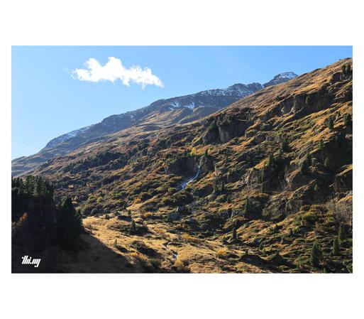 The upper part of a high alpine glacial valley in the most beautiful autumn colors with golden yellow grasses, small bushes with orange leaves, red patches of heather and blueberries, and small swiss pines dotted here and there. A small waterfall emerges between some of the rock cliffs. The snow capped peaks of large mountain in the hazy background. Clear blue sky with a single small white cloud