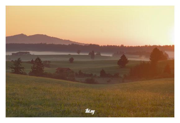 A landscape of rolling hills with flowery meadows, hedges and forest in the background during sunrise. The sun is just above the horizon on the right , bathing everything in yellow/orange golden light. Dew drops on the blades of grass and flowers in the foreground. Fog banks further toward the back. The silhouette of a mountain in the background in front of the peach colored clear sky.