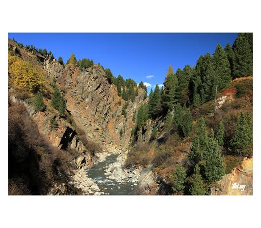 View of a mountain creek near entering a deep rocky canyon section. Lush alpine forest (mostly Swiss pines) and small cliffs on the right hand side, craggy larger cliffs and bushes on the left. A lot of the vegetation is in beautiful autumn colors. Clear blue sky.