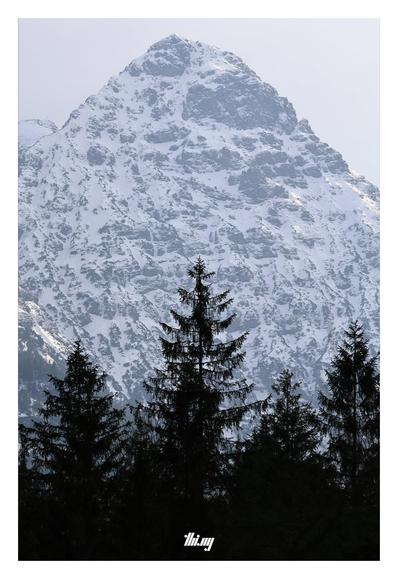 Photo of the imposing north face of a large pyramidal mountain peak, still mostly snow covered even down into the valley. The late afternoon sun is faintly highlighting some of the cracks and ridges in the snow. The silhouettes of some spruces in the foreground. Overcast gray wintry sky.