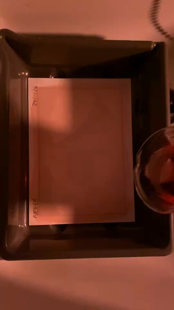 Short POV phone video edit of different stages of kallitype processing: developer (under safe light), developer with normal lights on, fixer, toner (just starting), final print hanging (almost fully dry)...