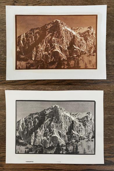 Two photos of two kallitype prints of the same image & negative (linked in the post). The top one has intense (unintended/unexpected) rusty brown shades, the other more neutral gray tones.