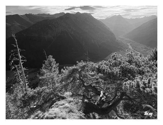 B&W photo of a large forested valley curving below and steep mountain ridges leading into the distance. The view is from a cliff ~500 meters above the valley, the rocks covered in dried grass and some draw mountain pines. A rocky river bed is meandering through the valley towards the hazy background and late afternoon sun. Overcast sky.