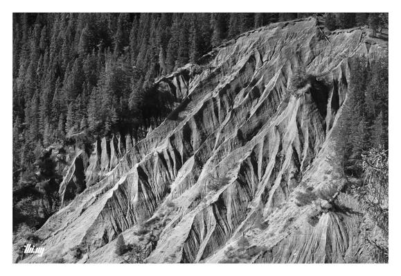 B&W photo of a heavily eroded hill side within a dense forest. The exposed area almost a little reminiscent of Zabriskie Point in Dead Valley.