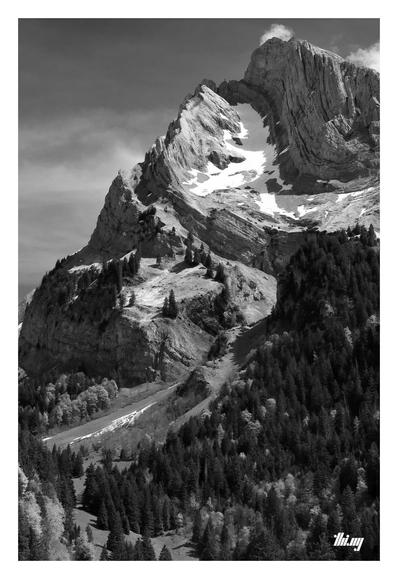 B&W photo of a mountain peak exhibiting intensely folded layers of rock and resulting curved forms, cliffs and ridges over multiple levels. Forested slopes running halfway up from the valley, snowfields higher up near the bare rocky peak. Sunny day with semi-overcast sky.