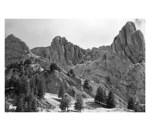 B&W photo of a high alpine landscape with intense folds and strata in the rocks. Small meadows and groups of Swiss pine trees on the more shallow sections, basking in the sun. A large cumulus cloud is creating an almost plain background.
