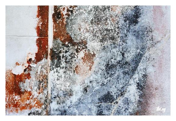 Close up photo of layers of mould & fungi growing on an old white wall. Old layers of paint. Complex textures, patterns with rich saturated colors (oranges, blues and pinks).