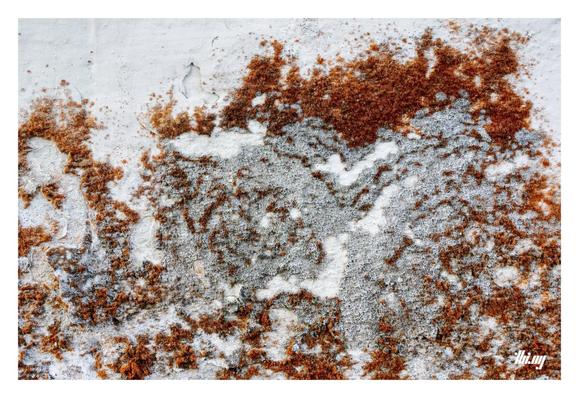 Close up photo of layers of mould & fungi growing on an old white wall. Old layers of paint. Complex textures, patterns with rich saturated colors (oranges, browns).