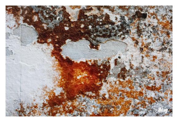 Close up photo of layers of mould & fungi growing on an old white wall. Old layers of paint. Complex textures, patterns with rich saturated colors (oranges, browns).