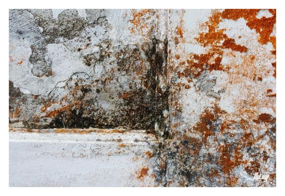 Close up photo of layers of mould & fungi growing on an old white wall. Old layers of paint. Complex textures, patterns with rich saturated colors (oranges, browns).