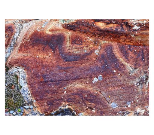 Close-up of an intensely rust colored metamorphic rock showing strong signs of folding activity. Small patches of lichen and moss overgrowth.