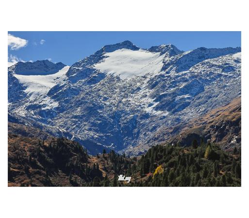 View of a large glaciated mountain massif rising up behind a final step of alpine forest beyond which only rock & ice remains. Only the upper third near the peaks is still covered in full ice, deep seracs visible in some parts. Numerous small waterfalls in the rock below and on the side slopes. The vegetation in the lower parts is all in beautiful autumn colors. A small group of yellow larches among swiss pines, bronze brown dried grasses and heather, red dots of blueberry bushes. Clear blue sk…