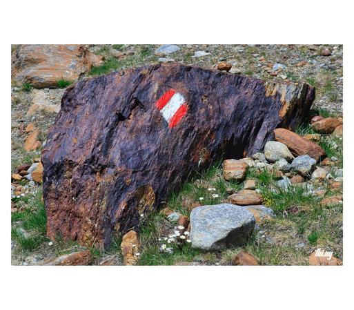 A boulder (~1.5m length) with rusty and aubergine-like coloring and a red/white path marker painted on. Some grass patches with daisies around.