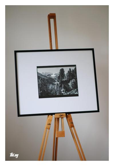 A framed black & white photo print standing on a wooden easel in front of a white wall. The picture shows a shows a large boulder within a group of Swiss pines (which are also growing on top) in a talus field. Further in the distance the glaciated peaks of the Bernina range in bright sunshine.