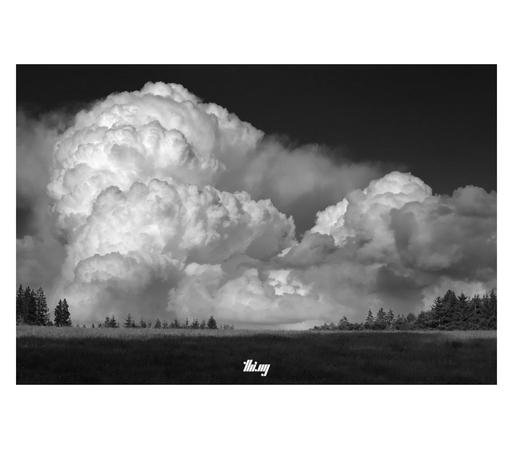 B&W photo of a dramatic bright white cumulus cloud stack forming above a forest. The view is slightly uphill and the clouds appear as if they're directly touching the horizon behind a thin line of forest and a large field in the foreground, which is mostly in the shade of another cloud. Dark sky.