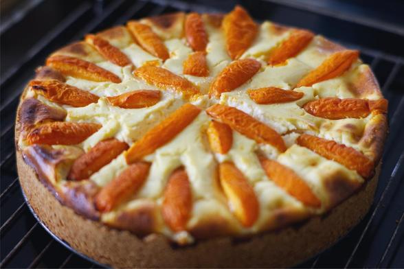 Photo of a freshly baked cheese cake with slices of apricot laid on top, resting on a wireframe...