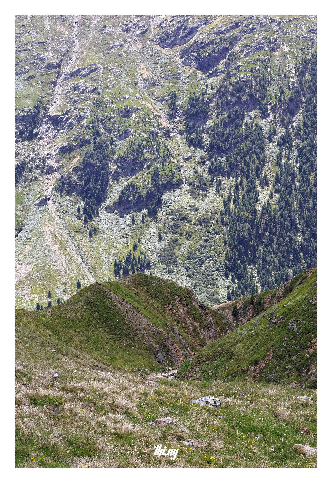 View down and across a deep high alpine valley. Overgrown talus fields and meadows surrounding a large ravine in the foreground, vertical rocky slopes on the other side of the valley in the background, small patches of trees and brush growing in the lower parts where possible. Neither sky nor the valley itself are visible. The horizon line of the foreground creates a visual rift, also in texture.