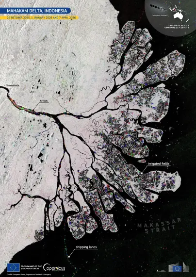Copernicus Sentinel-1 satellite radar composite of the Mahakam Delta in Indonesia, showing branching river channels, coastal wetlands, irrigated fields, shipping lanes and vessels near Samarinda and the Makassar Strait.