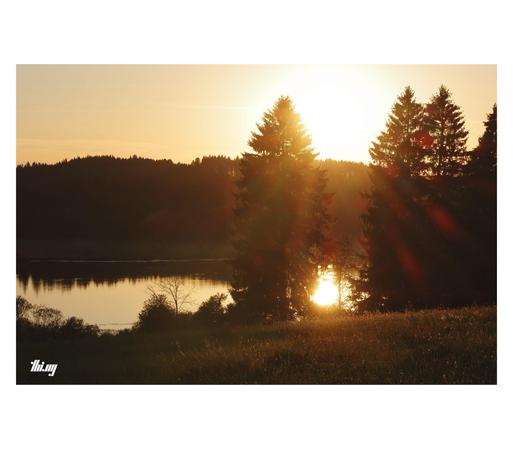 The silhouettes of some spruce trees near the edge of a forest against the setting sun with a loosely defined red sun star. A calm lake at mid distance is reflecting the bright orange light which is tinting the entire scene. Some of the flowering grasses in the foreground are highlighted by the backlight. More forest and clear sky in the background.