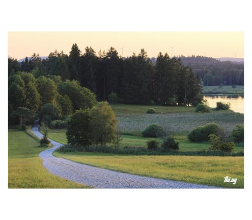 A gravel path leading down a gentle hillside through some fields into the forest surrounding a lake. Yellow golden light & sky. Some wind turbines in the background.