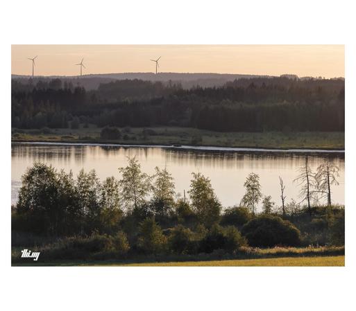 A still scene of an idyllic lake just before sunset. Everything is bathed in warm peachy light. A field and some small trees/bushes are catching the last sun in the foreground. Swamp and layers of forest on the other side of the lake, against the hazy sky in the background. Silhouettes of three wind turbines further back. Clear pale orange/vanilla sky.