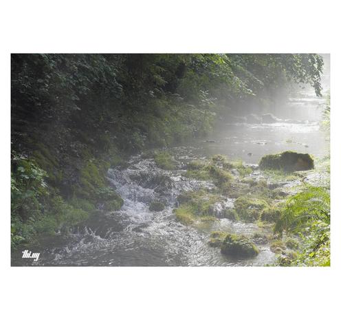 A small mountain creek surrounded by steep banks with trees and ferns, in glistening light and with thick mist forming directly above the water surface, the bright sun light scattering in it and forming small light shafts against the darker river bank on the left. The creek is mostly shallow and flowing smoothly, interrupted by occasional tiny rocky rapids...