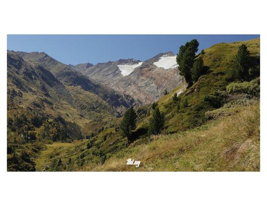 Wide-format view of an alpine mountain landscape with a lush mixture of vegetation (mostly grasses, mosses, berry bushes, swiss pines) in early autumn colors and rocks of different textures/colors. Glaciated (barely) peaks in the background. Waterfalls from different directions. Clear blue sky.