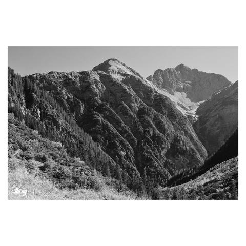 The same picture as #1, converted to black & white using custom weights to map the individual luminance of various primary hues.