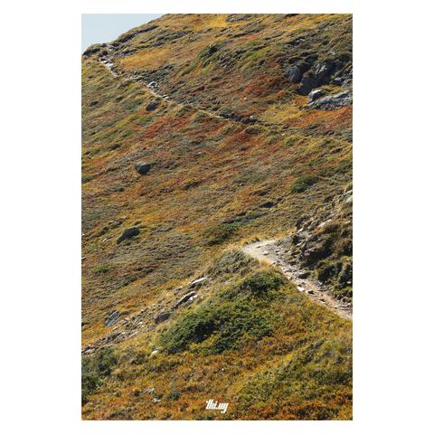 Portrait photo of a treeless alpine landscape with low-growth tundra vegetation in rich, earthy autumnal colors (oranges, yellows, browns, reds...) A narrow rocky footpath is zigzagging up the steep mountain slope towards a small piece of horizon in the top-left corner with soft azure clear sky.